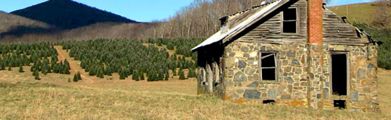Rock House 2.jpg