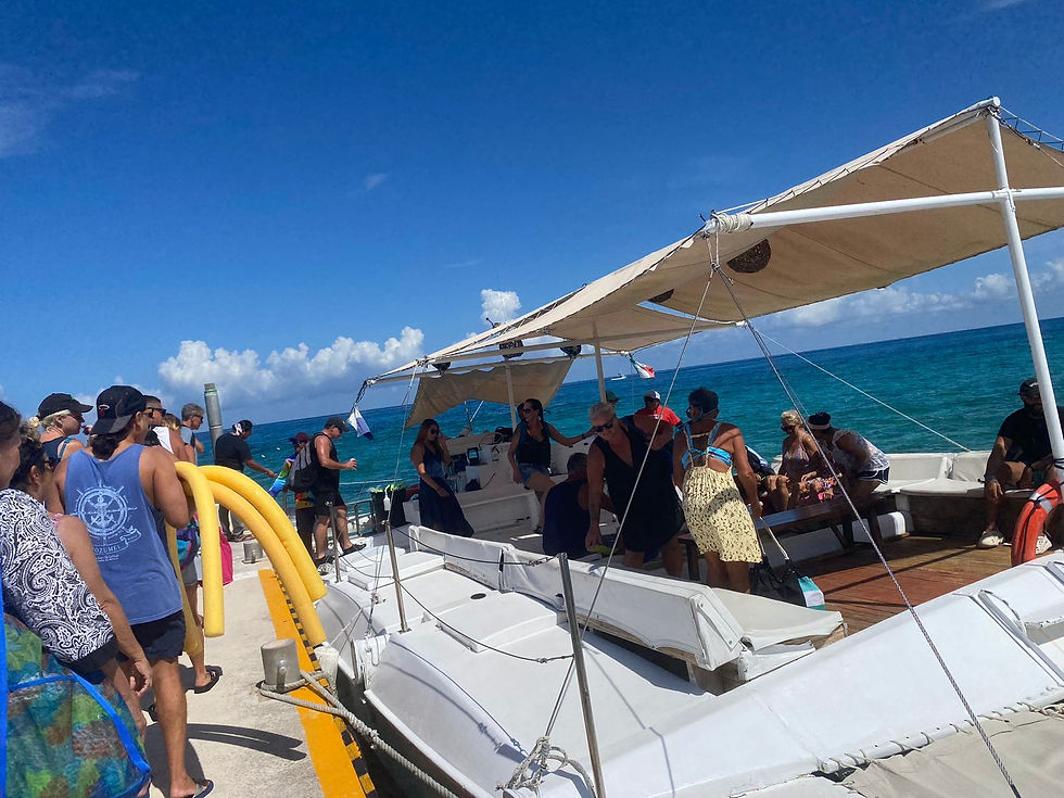 The Ultimate Guide to Visiting Cozumel in 2026