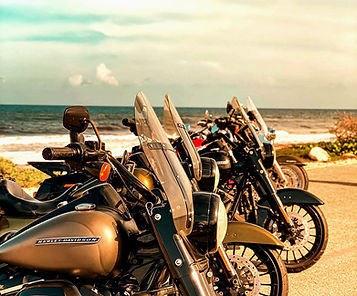 harleys-ocean-guided-tour-mexico.jpg