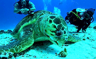 cozumel-naui-discover-scuba-diving-lesso