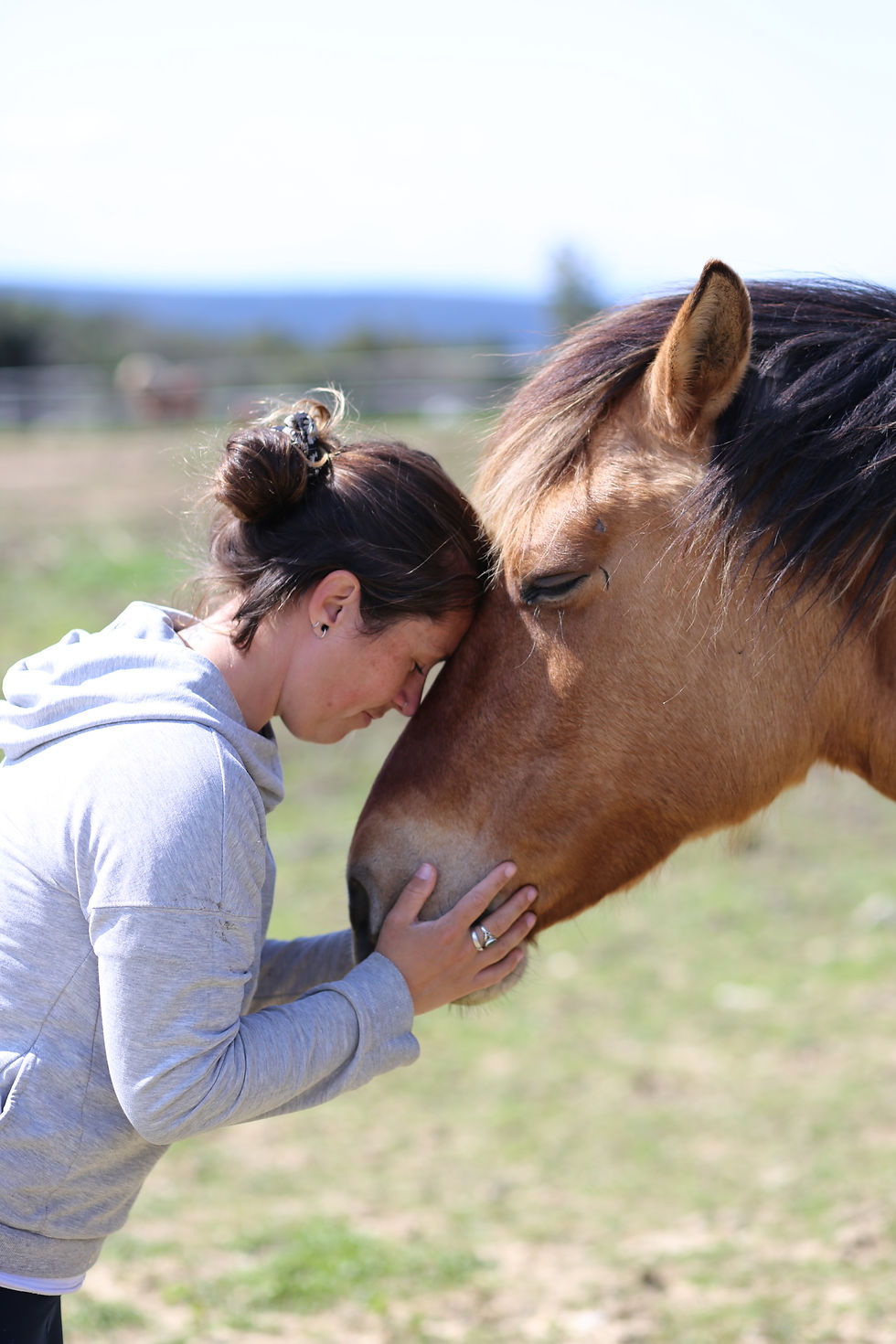 L’Équi-coaching : développer les compétences humaines grâce au cheval