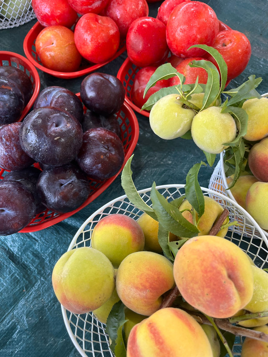 Milwaukee Winter Farmers Market