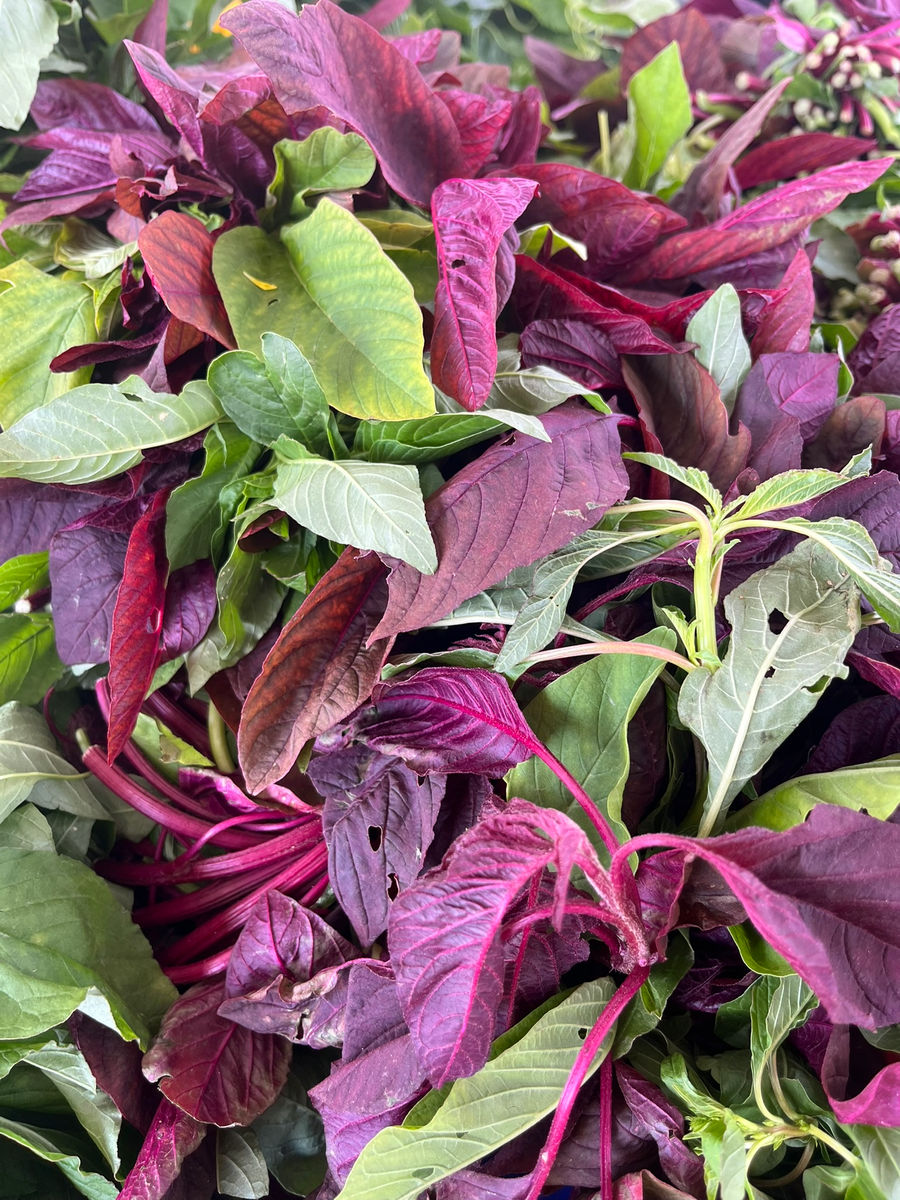 Milwaukee Winter Farmers Market
