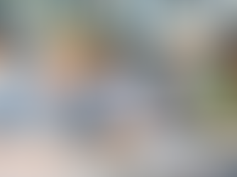 🇩🇪 브레멘 국제학교를 왜 주목해야 하는가: 독일에서 진짜 국제교육을 고민하는 학부모를 위한 현실적인 안내