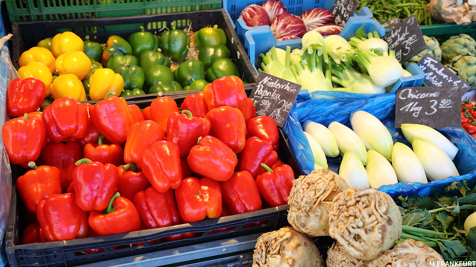 ๐ฉ๐ช ๋
์ผ์์ ์์์
์ด์ ์ ์ฃผ์์ฌํญ