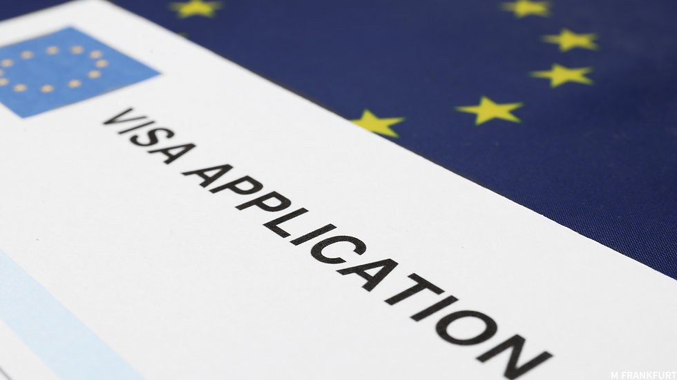 ๐ฉ๐ช โ
ฅ. ํฉ๋ฒ์ ํ๊ฒฌ(legale Entsendung)์ ์ํ ์ค๋ฌด ๊ฐ์ด๋