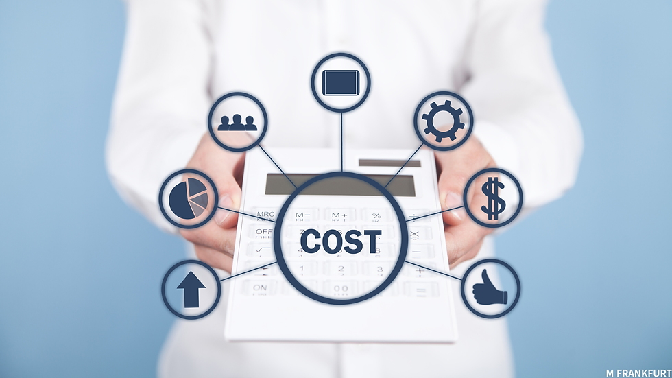 🇩🇪 독일 정부 전기차 보조금 재개 - 전기차 가격대와 시장 상황