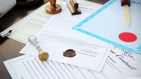 🇩🇪 2025년 독일 비자 내부 항고 폐지 대응 전략