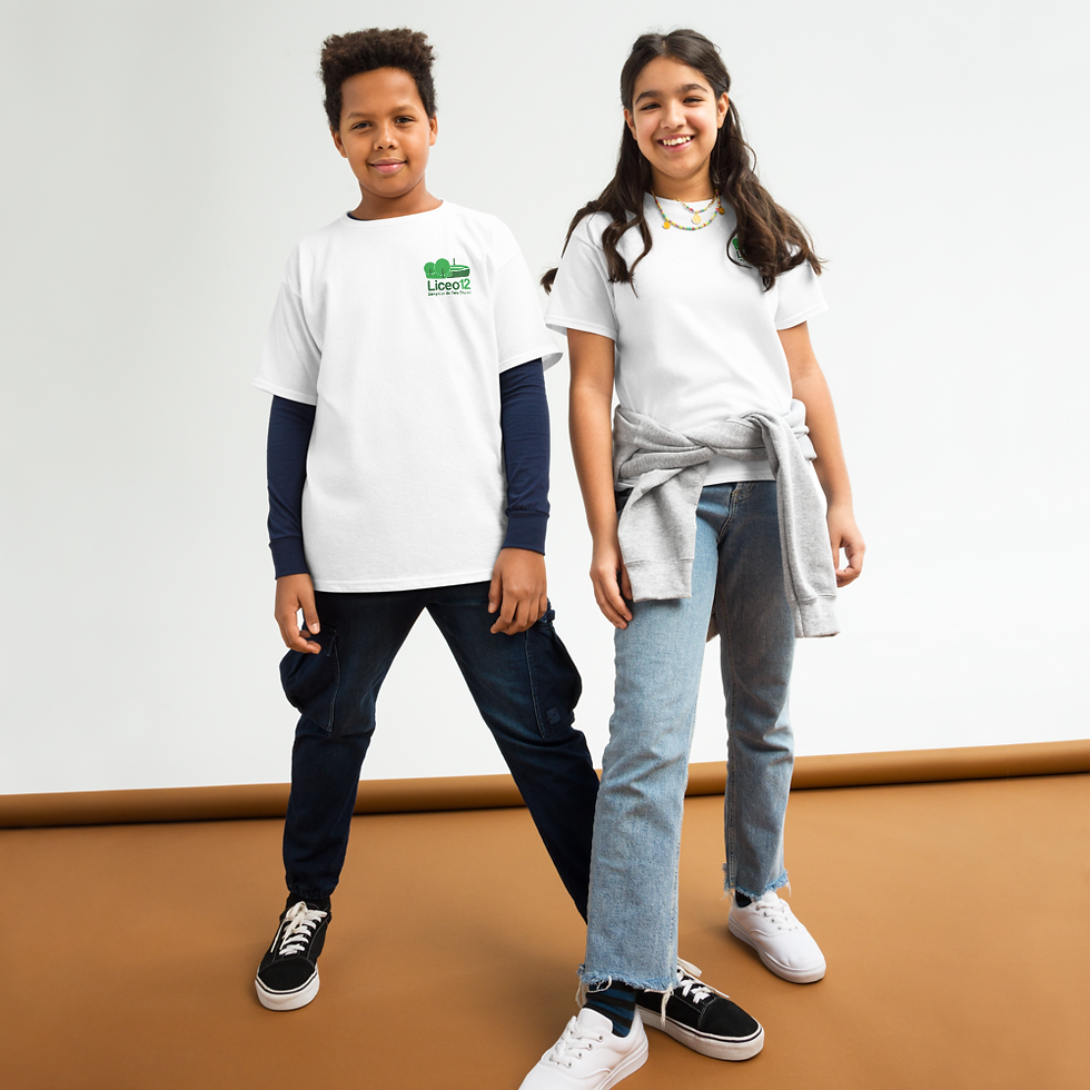 Miniatura: Liceo Nº 12 - Camiseta