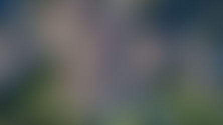 dans la région de ＝ 〜の方/ 〜の近辺/ 〜の周辺・静岡県＝la préfecture de Shizuoka / Shizuoka＝静岡市