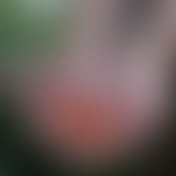 PROJECT PROFILE: Two Minutes With A Gardener