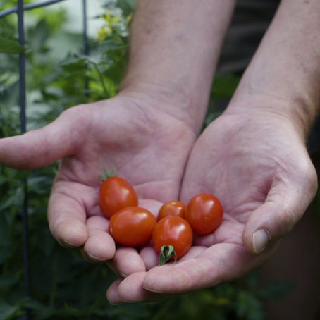 PROJECT PROFILE: Two Minutes With A Gardener