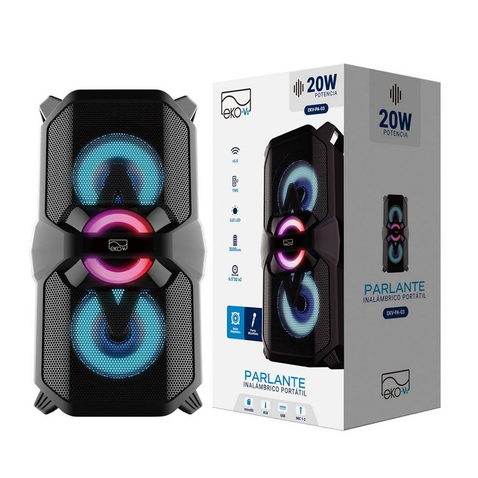 Parlante Bluetooth EKV-PA-03 20W 2 x 26.5'' 3000 mAh Negro EKO-Vi