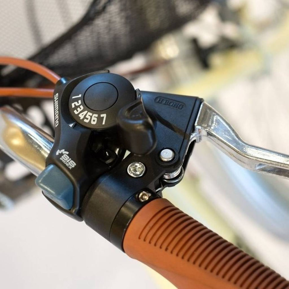 Miniatura: Bicicleta de Paseo C/Canasto Rodado 26 Aluminio Crema (BKE726A) Randers