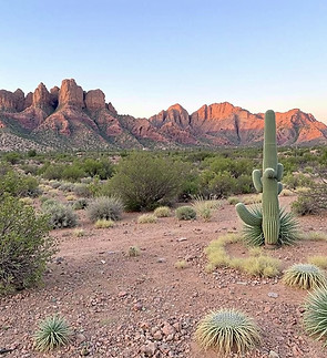 Arizona Landscape.jpg