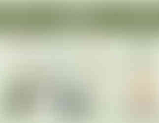 “Garden of Cedar” Moodboard