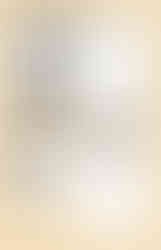 "O'Astarte" Business Card, Postcard, and Letterhead