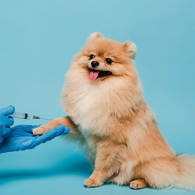shutterstock_1698595627.jpg