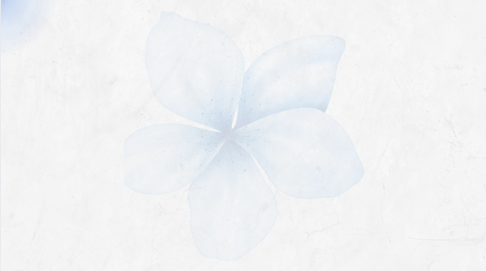 Screenshot 2025-03-01 211454.png