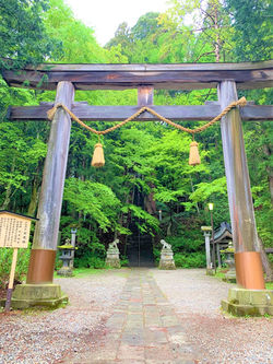 戸隠神社宝光社鳥居