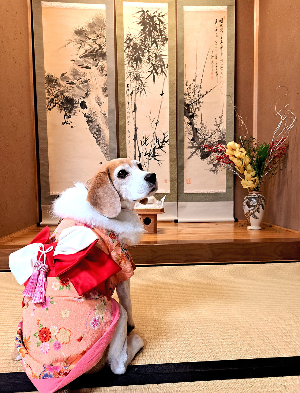 モデル犬りりーちゃん