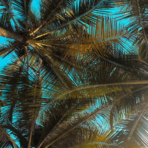 Panama:  Fiber & Fabric Exploration