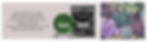website.jpg