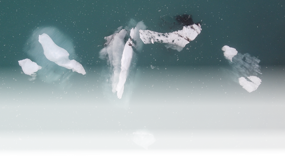 DJI_0224.png