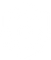 shield (1).png
