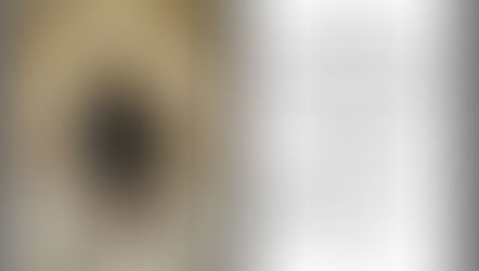 Catequesis de Iniciación Cristiana para Jóvenes y Adultos en Flor de Bastión - FUENSANTA