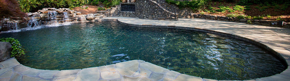 pool company near me.jpg
