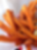 Sweet Potato