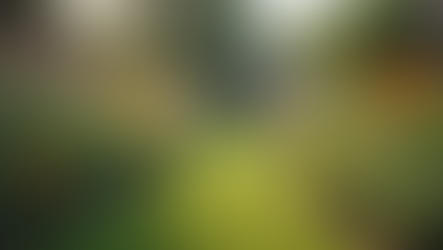 Fostering Sustainable Communities for a Greener Future: Sustainable Community Strategies