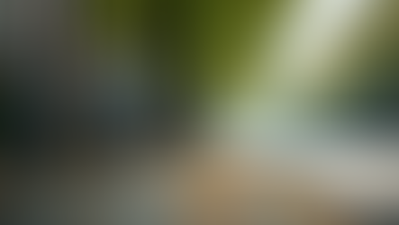 Embrace a Greener Lifestyle Today with Sustainable Lifestyle Practices