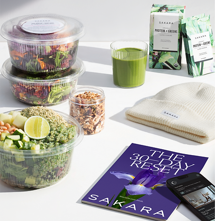 0111_Ambassador Sustain CODE 1_edited.png