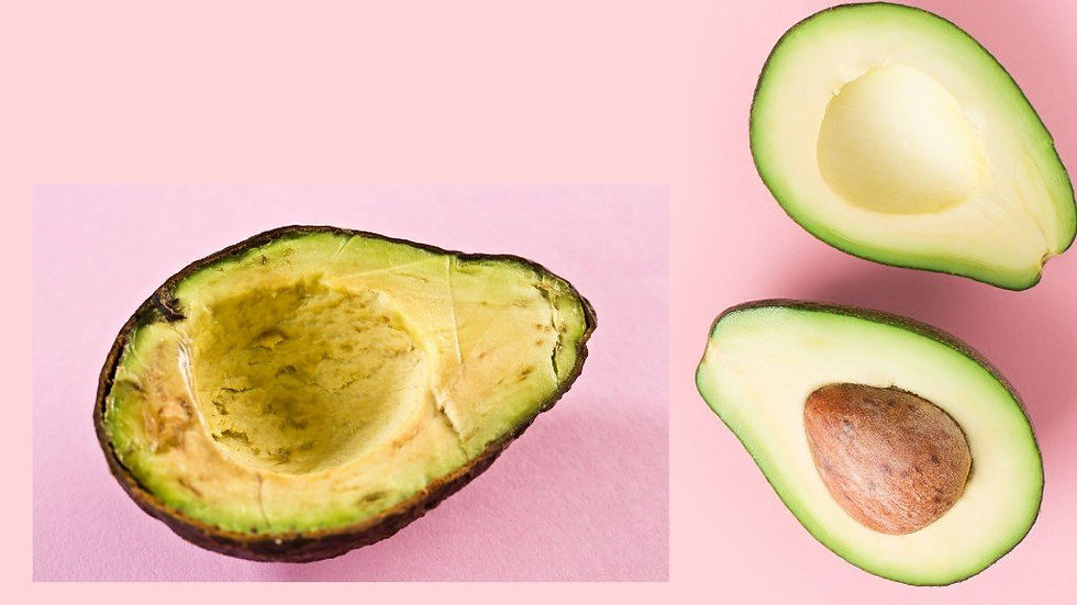 Avocado Main