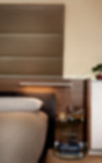 Contemporary Master Bedroom