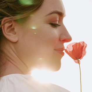 The Scent That Steadies a Midlife Mind
