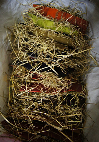 DSC02399_edited_edited.jpg
