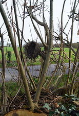 DSC04711.JPG