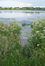 DSC05095.JPG