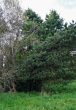 DSC04760.JPG