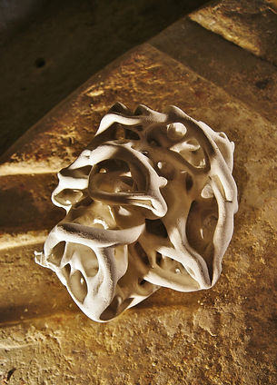 Arbres mu(E)s -Tuffeau - h14x22x23 - 201