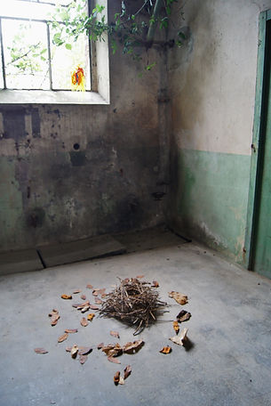 DSC02445.JPG