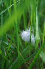 DSC04765.JPG