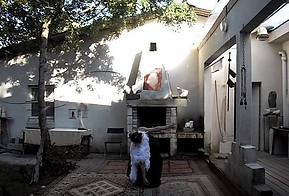 Performance carte blanche Eka Faune-juin
