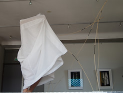Performance Carte blanche Galerie 56-exp