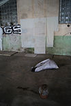 DSC02416.JPG
