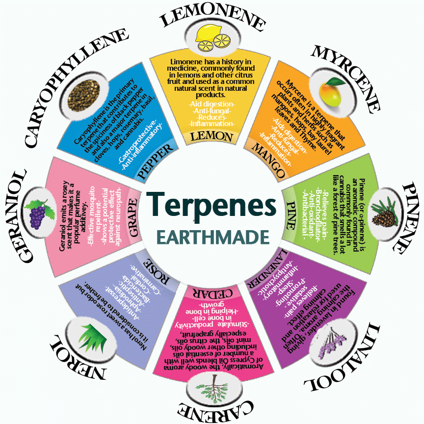 Cannabinoid Terpenes Chart and Diagram