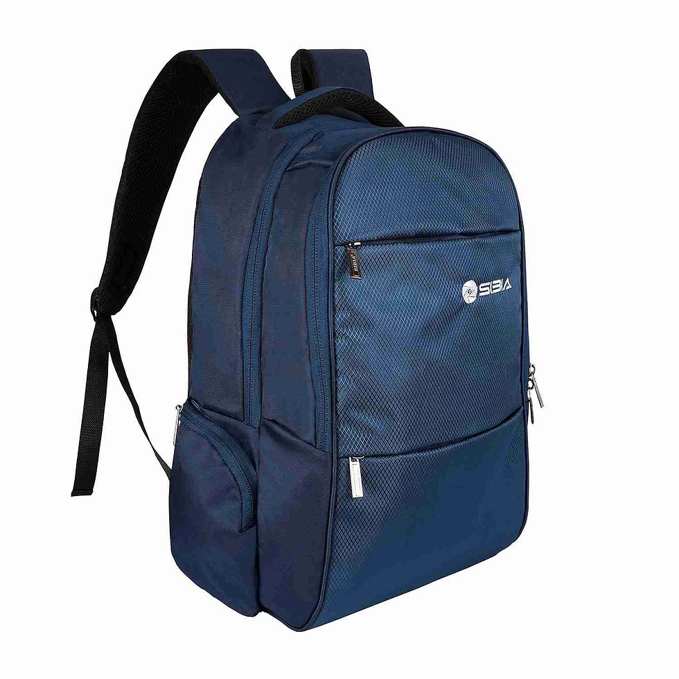 backpack for school boys manufactured by sibia bags , leading bag manufacturer